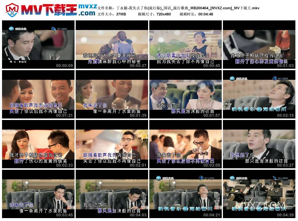 丁永毅-我失去了你(流行版)_国语_流行歌曲_MB200464